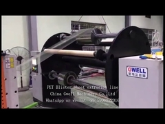 PET thermoforming verpakkingsplaat extrusie lijn, theekop en doos
