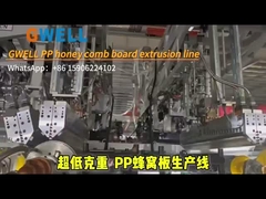 Zeer harde PP laag/hoog GMS honingraat extrusielijn voor omzetdoos