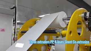 4 lagen hoog rendement PP thermovormplaat extrusielijn